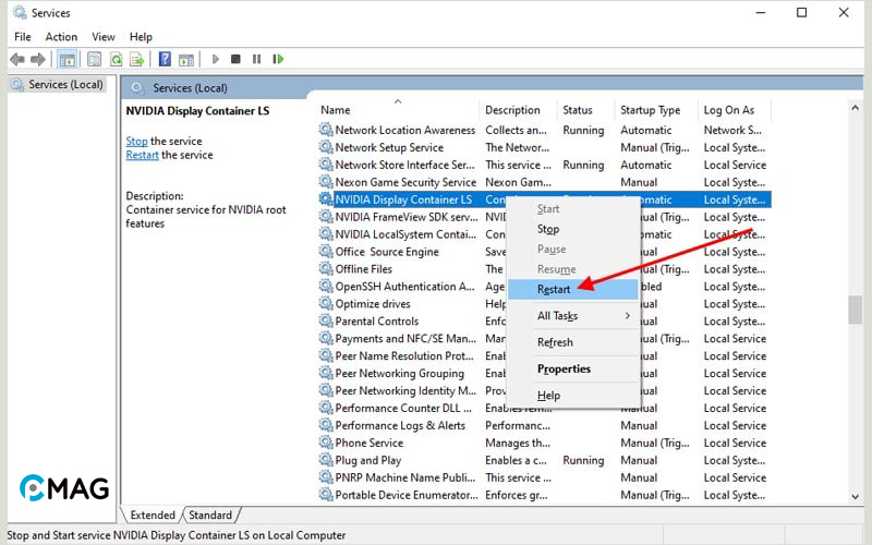 Restart NVIDIA Display Container Service