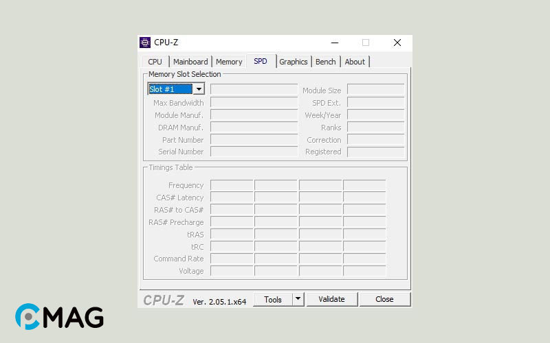 Thông qua CPU-Z