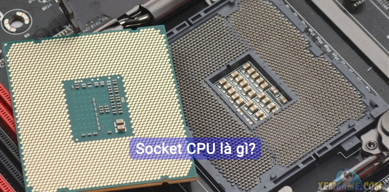 Socket CPU Là Gì? Tất Tần Tật Về Các Loại Socket CPU Phổ Biến Nhất